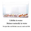 Swimbait Fishing Lure - Image 2