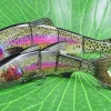 Rainbow Color Fishing Lure - Image 3