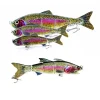 Rainbow Color Fishing Lure